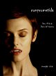 Comprometida (Libro # 6 de Diario del... - Bild 1