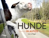 Hunde in Autos (eBook, ePUB)