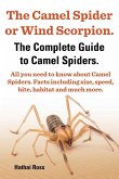 The Camel Spider or Wind Scorpion. the Complete Guide to Camel Spiders. All You Need to Know about Camel Spiders. Facts Including Size, Speed, Bite an