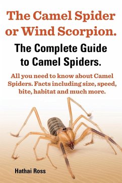 The Camel Spider or Wind Scorpion. the Complete Guide to Camel Spiders. All You Need to Know about Camel Spiders. Facts Including Size, Speed, Bite an - Ross, Hathai