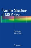 Dynamic Structure of NREM Sleep
