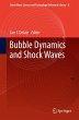 Bubble Dynamics and Shock Waves - Bild 1