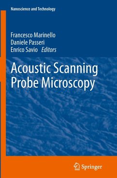 Acoustic Scanning Probe Microscopy