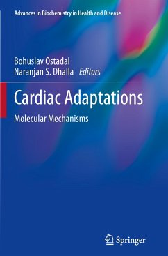 Cardiac Adaptations