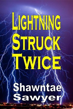 Cover Lightning Struck Twice (eBook, ePUB)