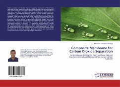 Composite Membrane for Carbon Dioxide Separation - Omoniyi, Adekunle Lawrence