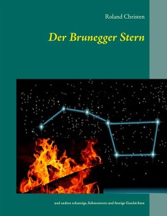 Cover Der Brunegger Stern