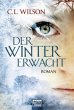 Der Winter erwacht - Bild 1