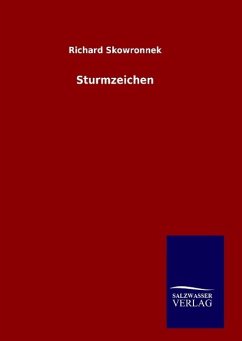 Sturmzeichen - Skowronnek, Richard