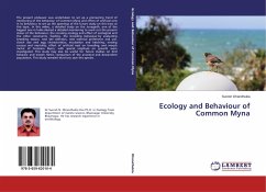 Ecology and Behaviour of Common Myna - Dhandhukia, Suresh