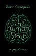 The Human Brain - Bild 1