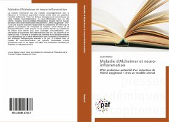 Maladie d'Alzheimer et neuro-inflammation - Reboul, Lucas