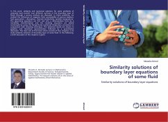 Similarity solutions of boundary layer equations of some fluid