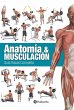 Anatomía & musculación : guía visual... - Bild 1
