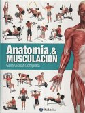 Anatomía & musculación : guía visual completa