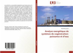 Analyse exergétique de systèmes de cogénération: puissance et d¿eau - Bouzayani, Nawfel