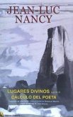 Lugares divinos ; seguido de Cálculo del poeta