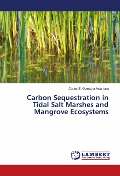 Carbon Sequestration in Tidal Salt Marshes and Mangrove Ecosystems - Quintana Alcántara, Carlos E.