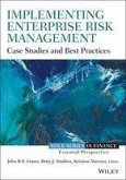 Implementing Enterprise Risk Management (eBook, PDF)