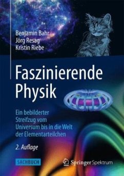 Faszinierende Physik - Resag, Jörg;Bahr, Benjamin;Riebe, Kristin