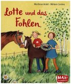 Lotte und das Fohlen