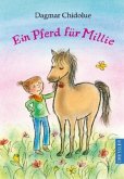 Ein Pferd für Millie / Millie Bd.24