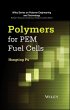 Polymers for PEM Fuel Cells (eBook, PDF) - Bild 1