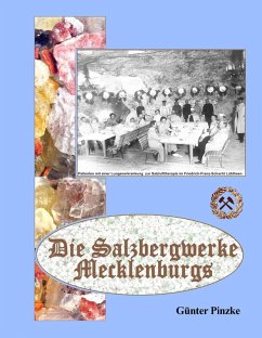 Die Salzbergwerke Mecklenburgs (eBook, ePUB)