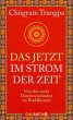 Das Jetzt im Strom der Zeit - Bild 1