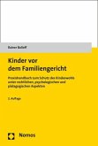 Kinder vor dem Familiengericht