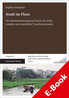 Stadt im Fluss (eBook, PDF) - Schramm, Sophie
