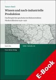 Wissen und nach-industrielle Produktion (eBook, PDF)