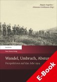 Wandel, Umbruch, Absturz (eBook, PDF)