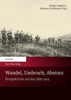 Wandel, Umbruch, Absturz (eBook, PDF)