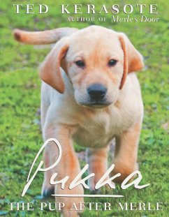 Cover Pukka (eBook, ePUB)