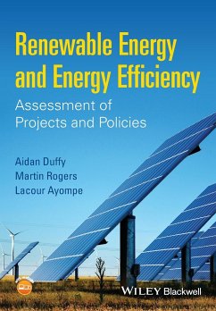 Renewable Energy and Energy Efficiency - Duffy, Aidan; Rogers, Martin; Ayompe, Lacour