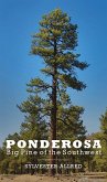 Ponderosa: Big Pine of the Southwest