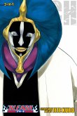 Bleach (3-In-1 Edition), Vol. 12