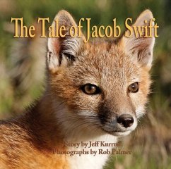 The Tale of Jacob Swift - Kurrus, Jeff