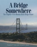A Bridge to Somewhere: The Tragedy of the Messina Strait Bridge Project