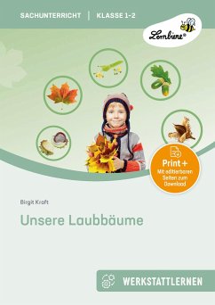 Unsere Laubbäume. Grundschule, Sachunterricht, Klasse 1-2 - Kraft, Birgit