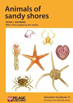 Animals of sandy shores - Hayward, Peter J.