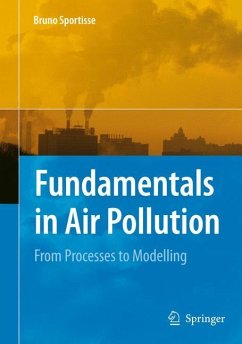 Fundamentals in Air Pollution - Sportisse, Bruno