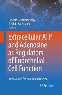 Extracellular ATP and adenosine as regulators of endothelial cell function