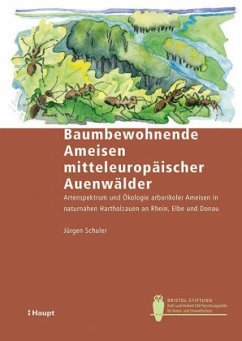 Baumbewohnende Ameisen mitteleuropäischer Auenwälder - Schuler, Jürgen