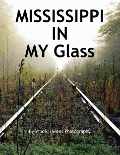 Mississippi in My Glass - Havens, Vince