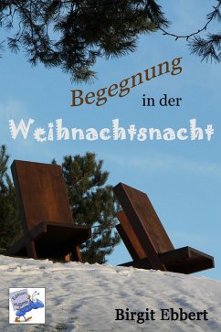 Begegnung in der Weihnachtsnacht (eBook, ePUB) - Ebbert, Birgit