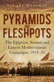 Pyramids and Fleshpots (eBook, ePUB)