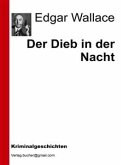 Der Dieb in der Nacht (eBook, ePUB)