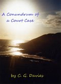 Conundrum of a Court Case. (eBook, ePUB)